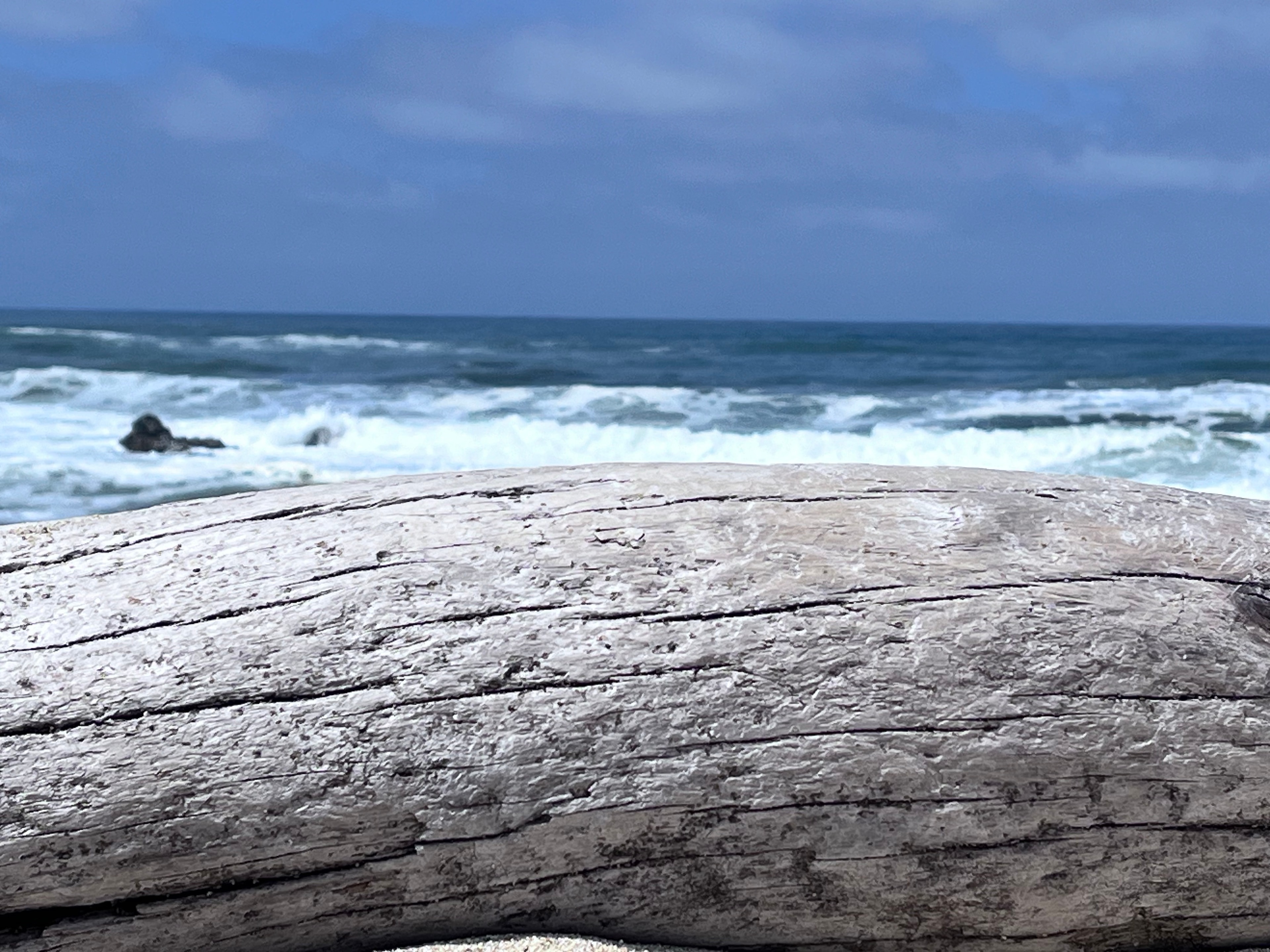 Weathered driftwood log in the foreground with crashing ocean waves behind